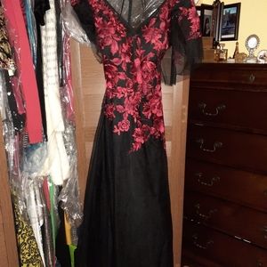 Beautiful evening gown